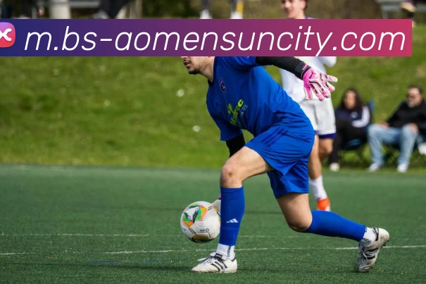 太阳城平台平台生态图